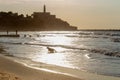 Idyllic sunny Israel - sunset and dog running in water. Jaffa area at background