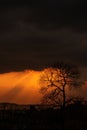 Idyllic sunset landscape featuring a silhouetted tree and clouds against a glowing orange sky Royalty Free Stock Photo