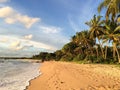 Sri Lanka paradise beach with white sand, Palm trees and a scenic sunset Royalty Free Stock Photo
