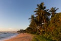 Sri Lanka paradise beach with white sand, Palm trees and a scenic sunset Royalty Free Stock Photo