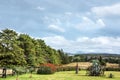 Idyllic surroundings of the Willow Lake, Uruguay