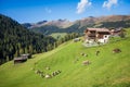 Idyllic swiss landscape with cattle herd grazing on the hillside Royalty Free Stock Photo
