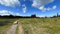 Idyllic trail winds through a green field. Taylor Meadows Trail, Garibaldi Provincial Park, Canada. Royalty Free Stock Photo