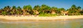 Idyllic tranquil view of summer beach landscape with palm trees, Mexico