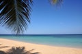 Idyllic tropical beach Royalty Free Stock Photo
