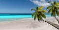 Idyllic tropical beach with palm trees. Royalty Free Stock Photo