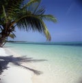 Idyllic tropical beach panorama with palm trees, white sand and turquoise blue water Royalty Free Stock Photo