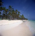 Idyllic tropical beach panorama with palm trees, white sand and turquoise blue water Royalty Free Stock Photo