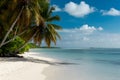 Idyllic tropical beach with white sand and calm sea Royalty Free Stock Photo