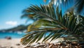 Idyllic tropical coastline, palm tree, blue water, green plant, sandy beach generated by AI Royalty Free Stock Photo