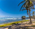 An idyllic view along Bathsheba Beach on the Atlantic coast of Barbados