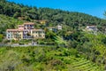 Idyllic view in Elba Island, Tuscany, Italy. Royalty Free Stock Photo