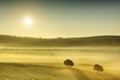 Idyllic view, foggy Tuscan fields in light of the rising sun Royalty Free Stock Photo