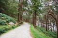 Idyllic view in Glendalough Valley forest with footpath, County Wicklow, Ireland. Mountains, lake and tourists walking Royalty Free Stock Photo