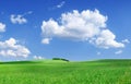 Idyllic view, green field and the blue sky with white clouds Royalty Free Stock Photo