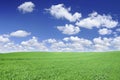 Idyllic view, green field and the blue sky with white clouds Royalty Free Stock Photo