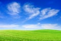 Idyllic view, green field and the blue sky with white clouds Royalty Free Stock Photo