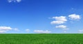 Idyllic view, green field and blue sky with white clouds Royalty Free Stock Photo