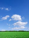 Idyllic view, green field and blue sky with white clouds Royalty Free Stock Photo