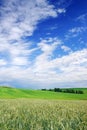 Idyllic view, green hills and blue sky with white clouds