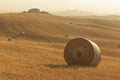 Idyllic view of hilly farmland in Tuscany Royalty Free Stock Photo