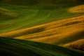 Idyllic view of hilly farmland in Tuscany in beautiful morning light, Italy. Landscape in the Italy. Morning light in the field. Royalty Free Stock Photo