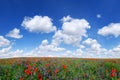 Idyllic view, meadow with red poppies blue sky in the background Royalty Free Stock Photo