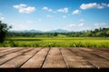 Idyllic view Wooden floor, green rice fields, and expansive blue sky Royalty Free Stock Photo