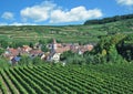 Village of Achkarren,Kaiserstuhl wine region,Black Forest,Germany Royalty Free Stock Photo