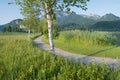 Idyllic walkway near Schlehdorf, along the wetlands, bavarian landscape in spring Royalty Free Stock Photo