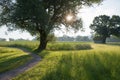 Idyllic walkway near Schlehdorf, along the wetlands, bavarian landscape in spring, morning scenery Royalty Free Stock Photo