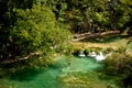 Idyllic water in Plitvice nature reserve Royalty Free Stock Photo