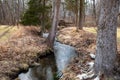 Idyllic winding creek with grass banks and a fallen tree in the background Royalty Free Stock Photo