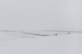 Idyllic winter countryside landscape covered with snow, in cold foggy morning aerial view drone pov