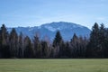 Idyllic winter landscape with green fields and forests. Alps mountains Royalty Free Stock Photo