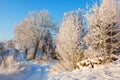 Idyllic winter landscape with a winding road Royalty Free Stock Photo