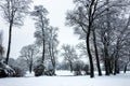 Idyllic Winter Nature Snowscape with Trees, Scenic Background for the Cold Season