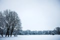 Idyllic Winter Nature Snowscape with Trees, Scenic Background for the Cold Season, with copy space