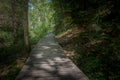 Idyllic wooden hiking trail in the woods of the Mullerthal region