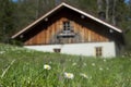 Idyllic wooden hut with fresh green grass Royalty Free Stock Photo