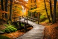 An idyllic woodland in autumn, with a rustic wooden bridge crossing a babbling brook and the forest alive with autumnal colors