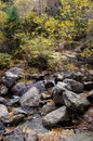 a stream surrounded by rocks and fallen leaves in the woods Royalty Free Stock Photo