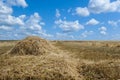 Ield after harvesting cereals in the summer, stubble against the blue sky and white clouds