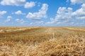 Ield after harvesting cereals in the summer, stubble against the blue sky and white clouds