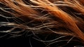 iery Tresses: Vivid Human Red Hairs Set Against Noir Ambiance