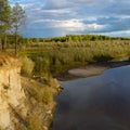 Iew of the Pine forest on the cliff by the river with the erosion of clay soils and layers of earth under the roots of trees Royalty Free Stock Photo