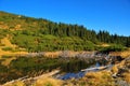 Iezer lake in calimani mountains,romania Royalty Free Stock Photo