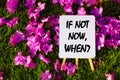 If not now when On background of pink flowers and green grass. Royalty Free Stock Photo