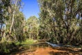 Gregory Downs Rivercrossing, Savannah Way, Queensland, Australia