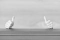 If you like it thumbs ups. Human hands giving thumbs ups sign on grey background. Extending hands with thumbs ups